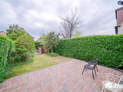 Picture 20